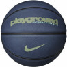 Nike Everday Playground Basketball