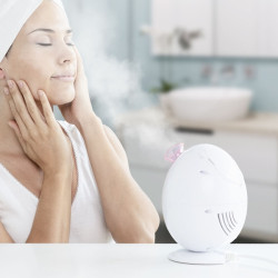 Electric Facial Sauna